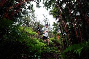 BIB: 
                            <button type="button" onclick="openModal(26201116)" class="btn btn-primary btn-sm float-right btn-popup" data-toggle="modal" data-target=".modal-high-quality">
                        <i class="fas fa-shopping-cart"></i> Add to Cart
                    </button>
                                            <button type="button" onclick="isThisMe(26201116, true)" class="btn btn-success btn-sm float-right btn-popup btn-isme hidden" data-toggle="tooltip" data-placement="bottom" title="นี่คือรูปของคุณใช่ไหม คลิกที่นี่เพื่อเอาเข้าอัลบั้ม">
                        <i class="fas fa-plus"></i> Add to album
                    </button>
                    <button type="button" onclick="isThisMe(26201116, false)" class="btn btn-warning btn-sm float-right btn-popup btn-isnotme hidden">
                        <i class="fas fa-ban"></i> Remove from album
                    </button>